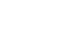 Dislog Group