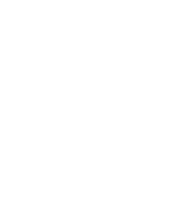Vivalis